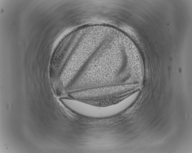 X0000071791183200607282255