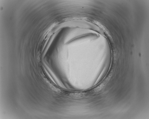 X0000071791185200607282255