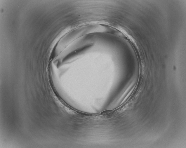 X0000071791189200607282255