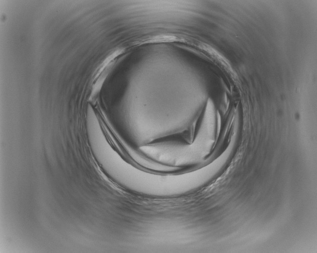 X0000071791193200607282255