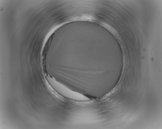 X0000071791200200607282255