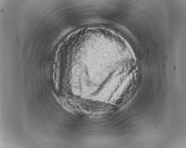 X0000071791225200607282254