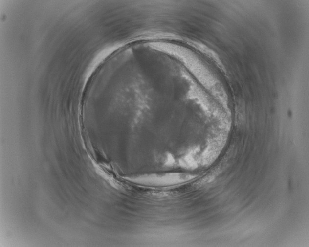 X0000071791231200607282255