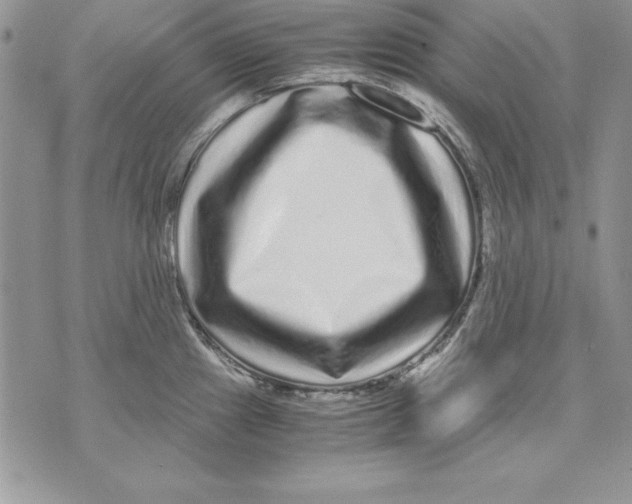 X0000071791241200607282255