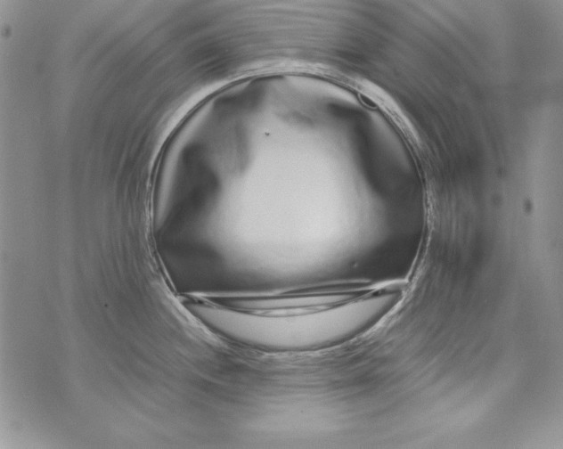 X0000071791244200607282255