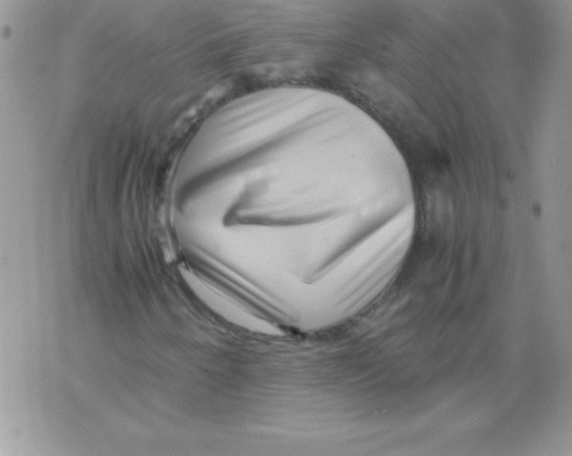X0000071791250200607282254