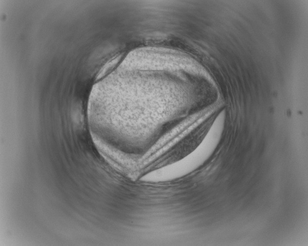 X0000071791252200607282254