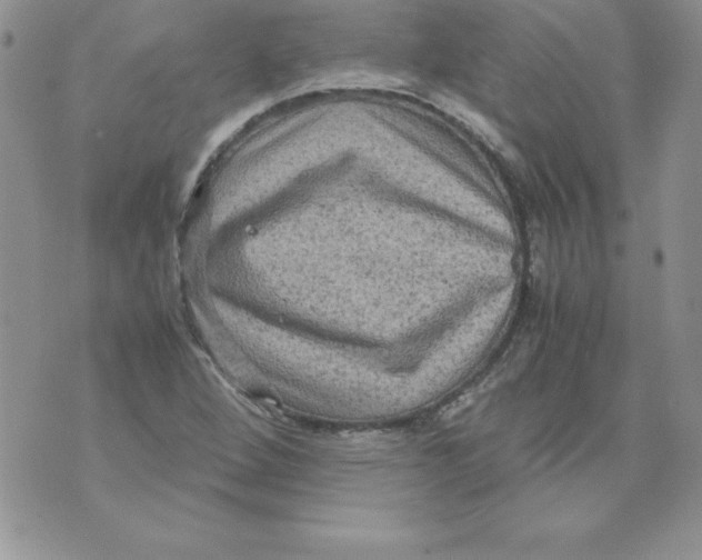 X0000071791264200607282254