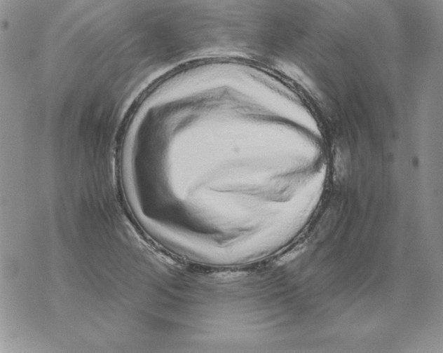 X0000071791268200607282254