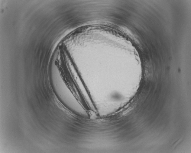 X0000071791276200607282254