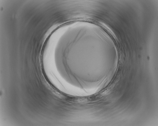 X0000071791291200607282253