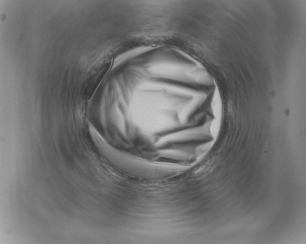 X0000071791300200607282253