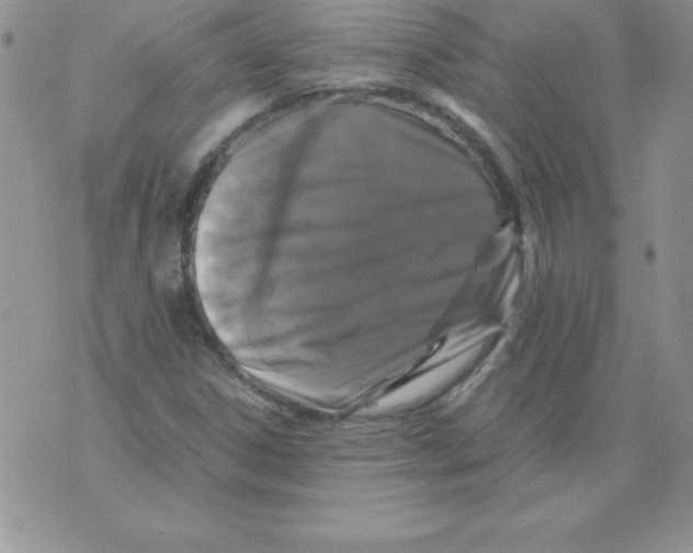 X0000071791306200607282253