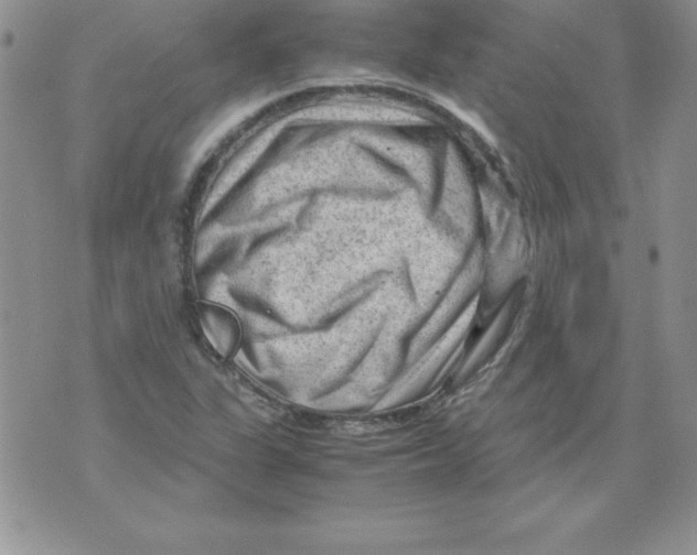 X0000071791311200607282253