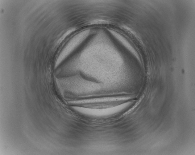 X0000071791313200607282253
