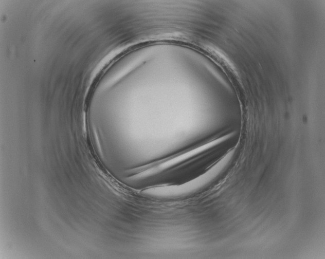 X0000071791324200607282253