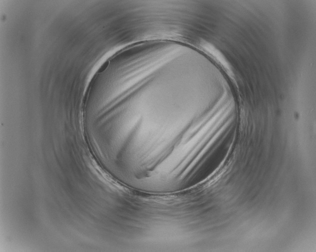 X0000071791340200607282253