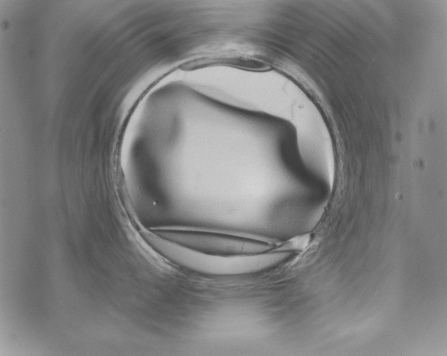 X0000071791344200607282253