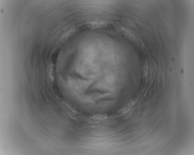 X0000071791346200607282252