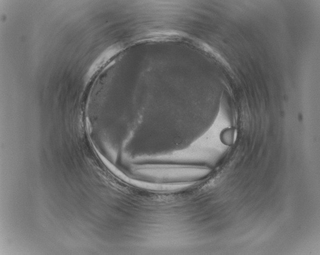 X0000071791362200607282252