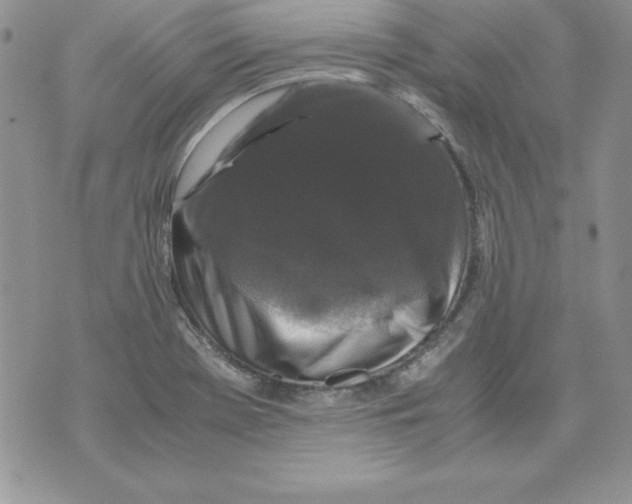 X0000071791369200607282252