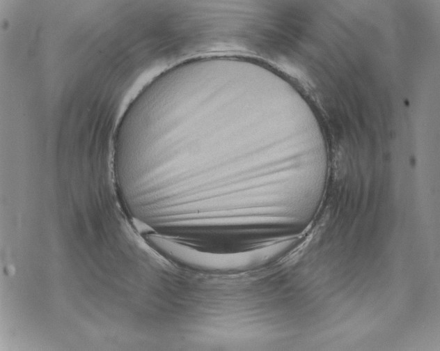 X0000071791374200607282252