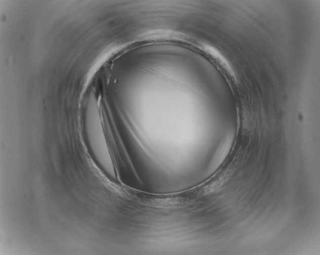 X0000071791376200607282252
