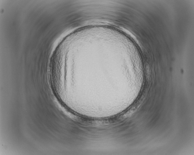 X0000071791379200607282252