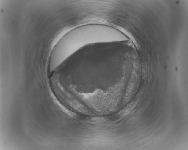 X0000071791383200607282252