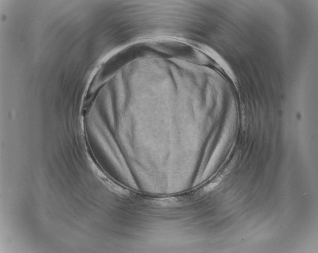 X0000071791388200607282252