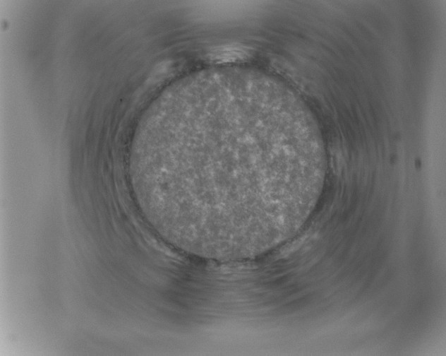 X0000071791393200607282251