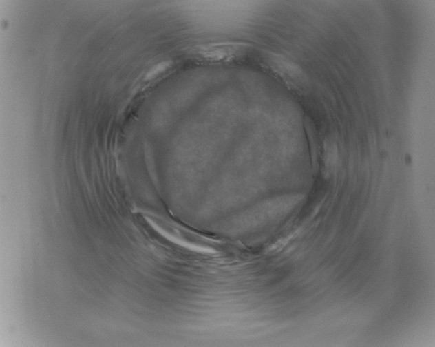 X0000071791394200607282251