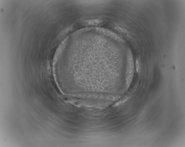 X0000071791395200607282251