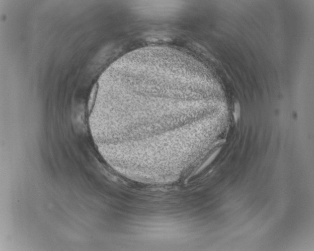 X0000071791396200607282251