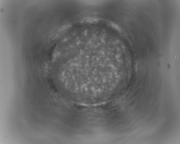 X0000071791397200607282251