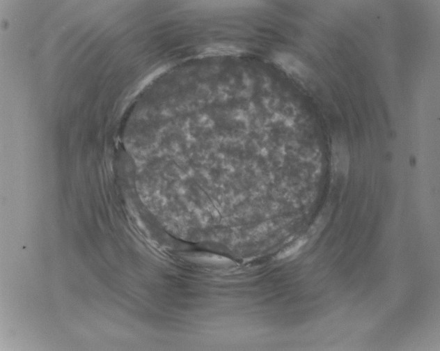 X0000071791401200607282251