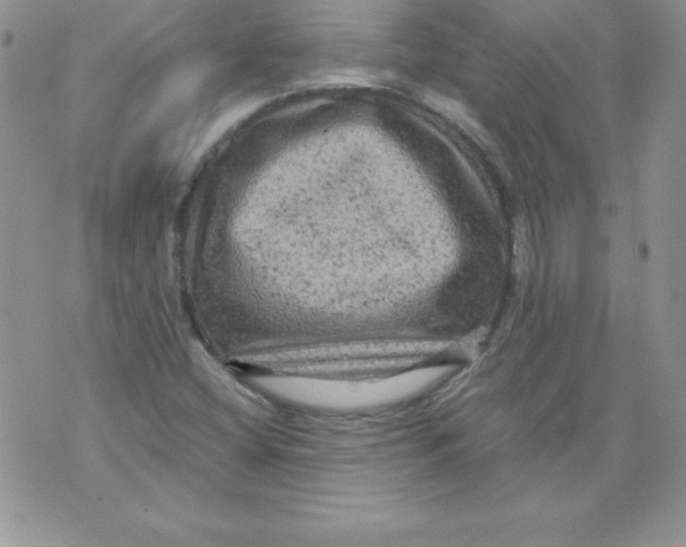 X0000071791404200607282251