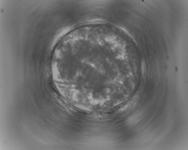 X0000071791405200607282251