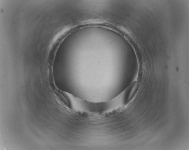 X0000071791406200607282251