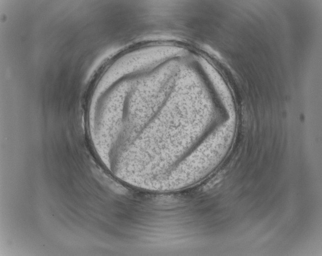 X0000071791408200607282251