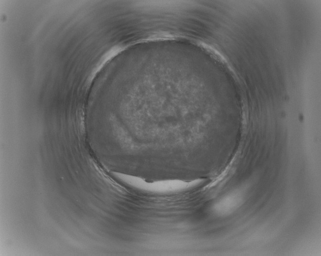 X0000071791409200607282251