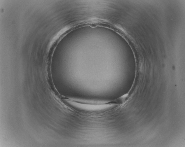 X0000071791410200607282251