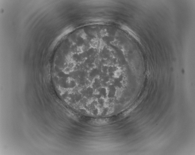 X0000071791411200607282251