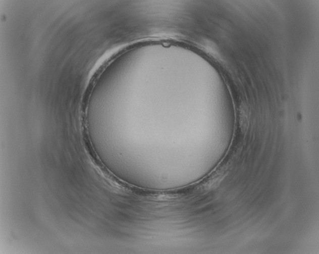 X0000071791412200607282251