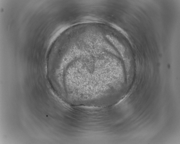 X0000071791415200607282251