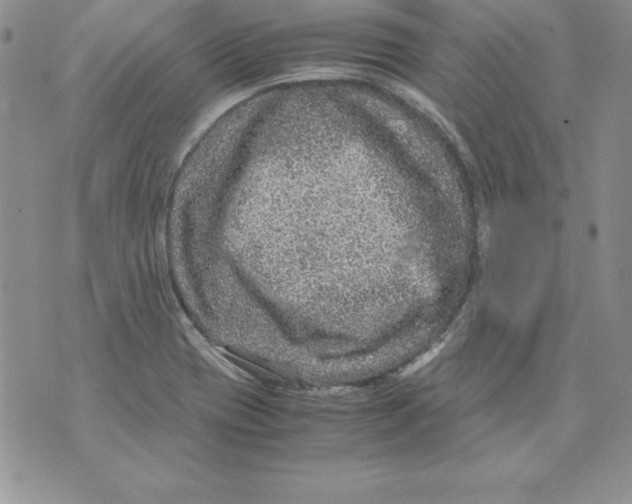 X0000071791417200607282251