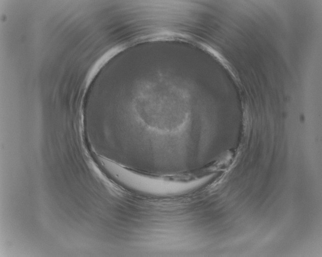 X0000071791418200607282251