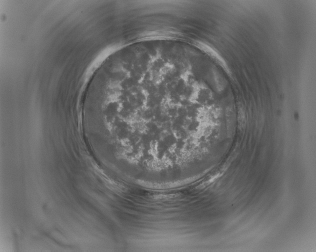 X0000071791419200607282251