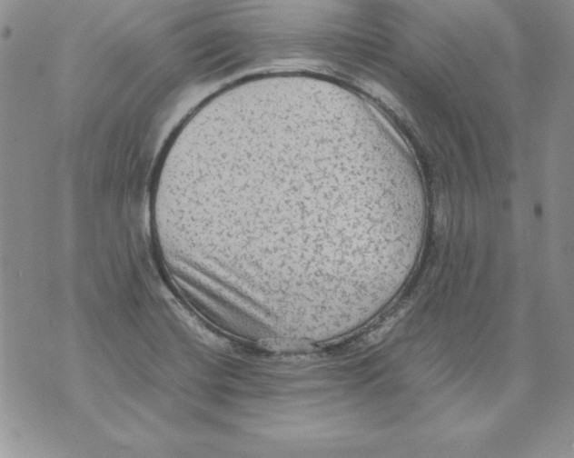 X0000071791420200607282251