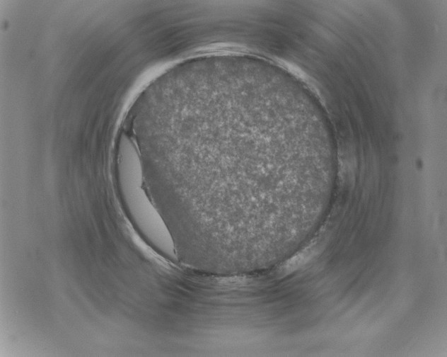 X0000071791421200607282251